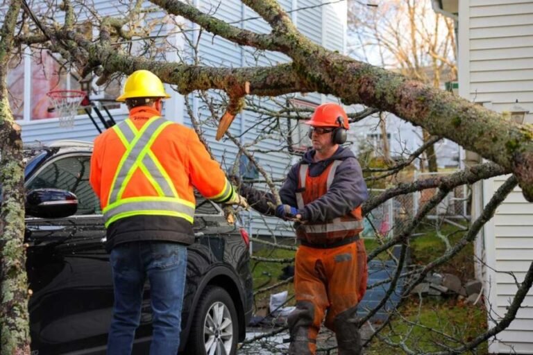 Essential Tips to Protect Your Home During Storm Season